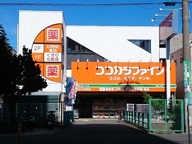 4/9 周辺