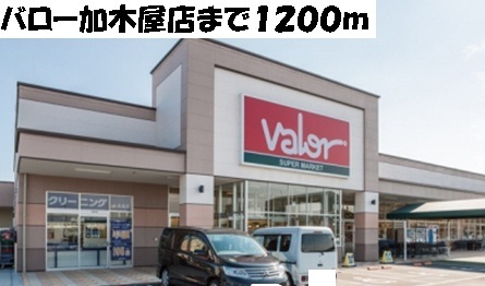 4/7 周辺