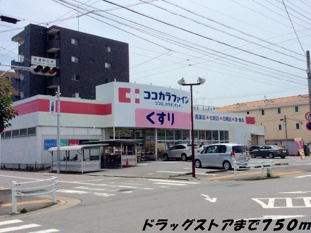 29/30 周辺