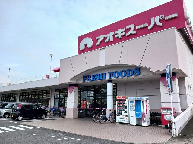 3/7 周辺