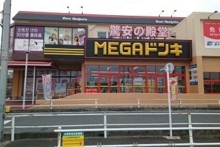 3/10 周辺