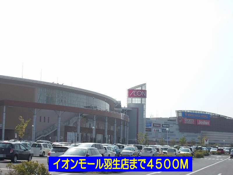 20/20 周辺