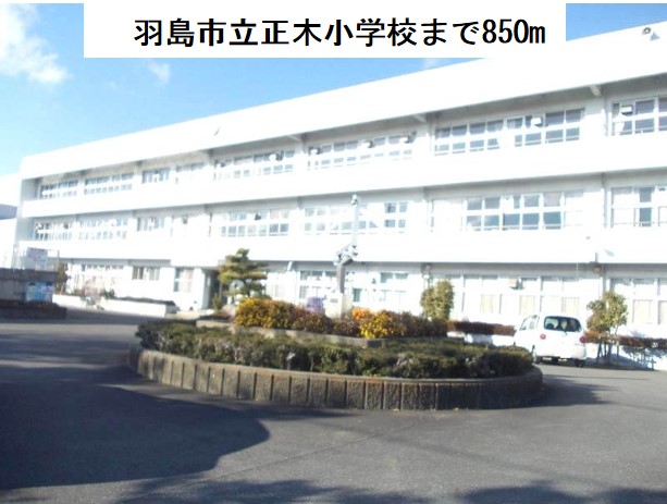20/20 周辺