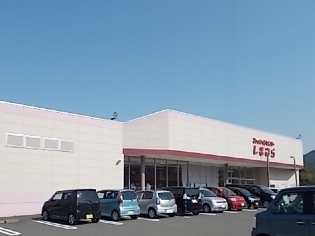 8/8 周辺