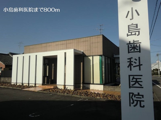 20/20 周辺