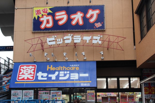 3/10 周辺