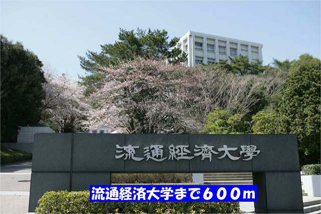 28/30 周辺