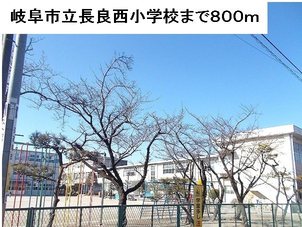 20/20 周辺