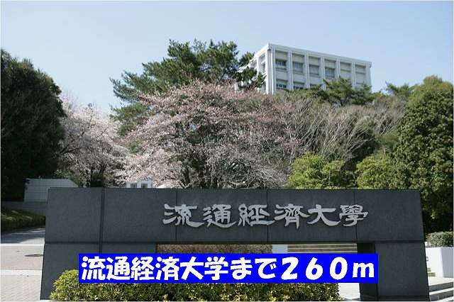28/29 周辺