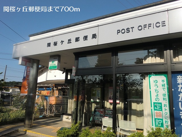 4/7 周辺