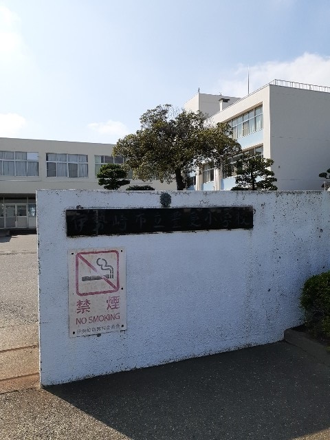 20/20 周辺