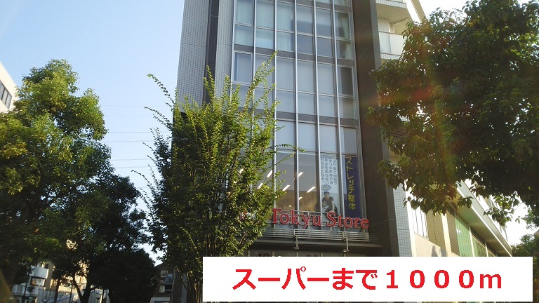 4/7 周辺