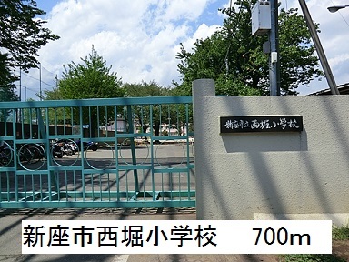 5/7 周辺