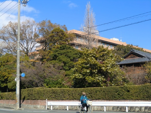 29/30 周辺