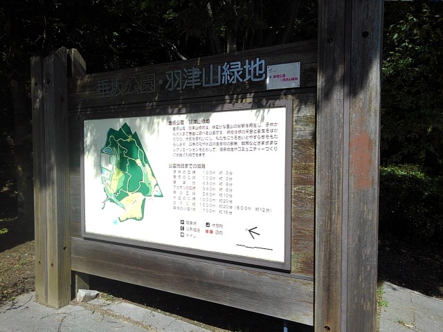 6/10 周辺