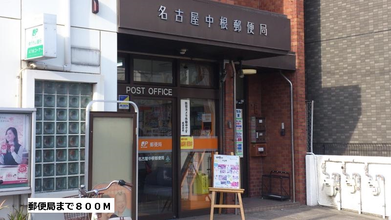 6/10 周辺