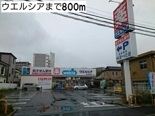 7/8 周辺
