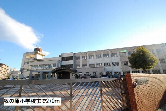 7/7 周辺