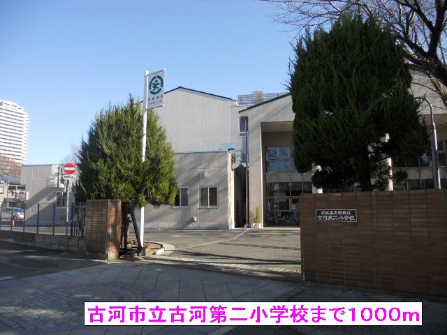 5/8 周辺