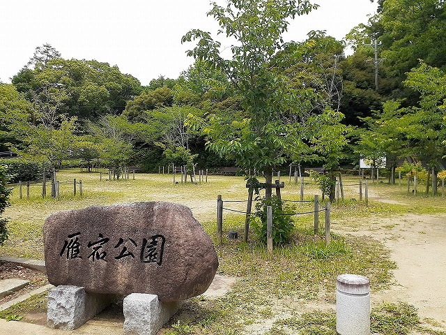 7/8 周辺