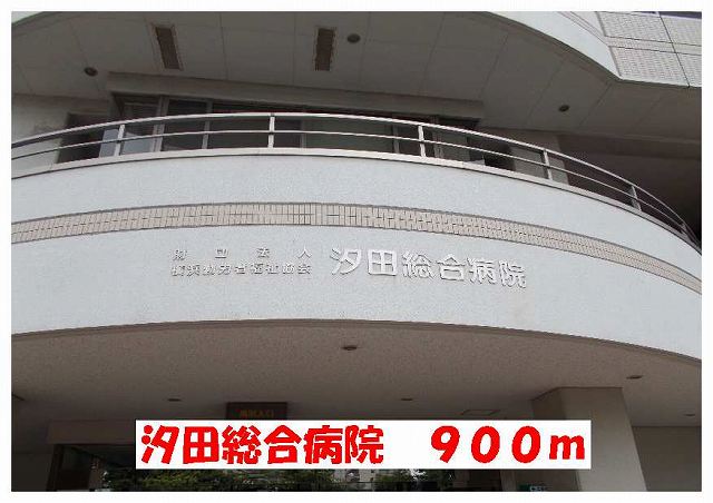 20/20 周辺