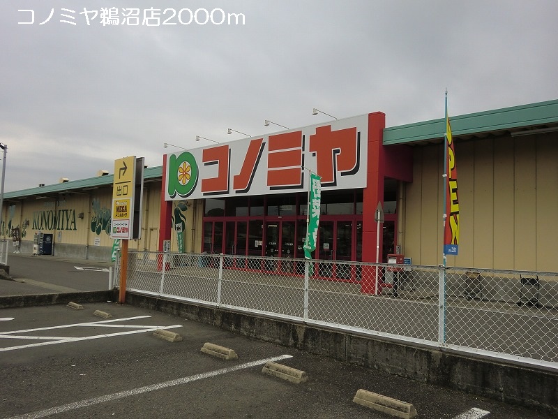 20/20 周辺