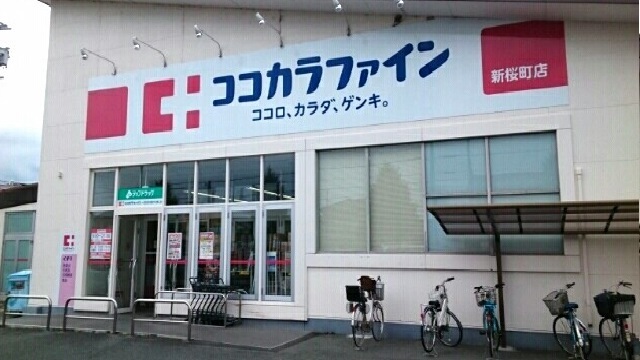 19/20 周辺
