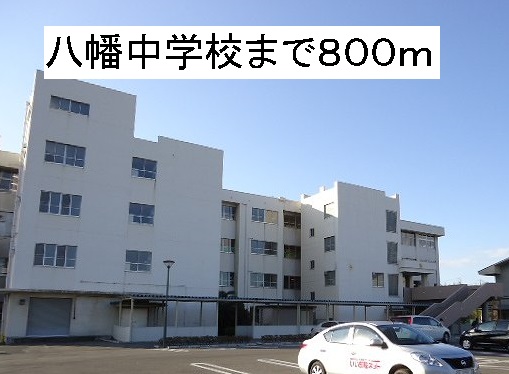 5/8 周辺