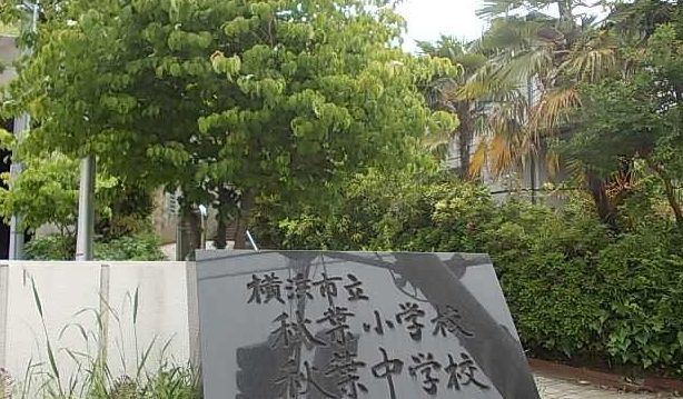 11/17 周辺