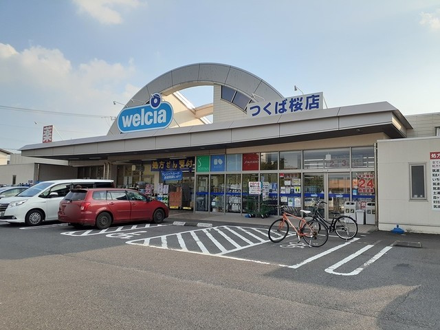 6/8 周辺