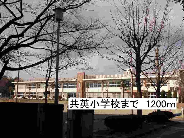 20/20 周辺