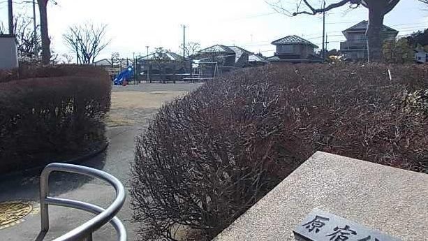 3/12 周辺