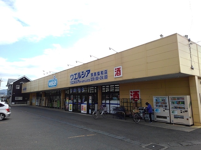 19/22 周辺