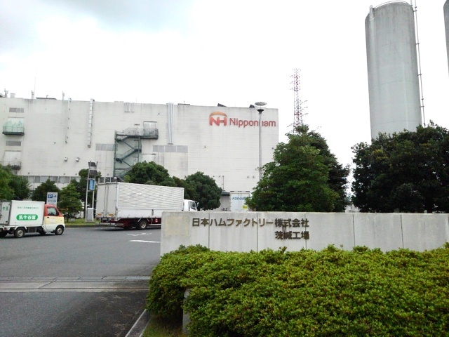 17/20 周辺