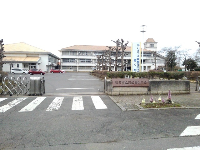 20/20 周辺