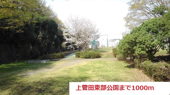 7/7 周辺