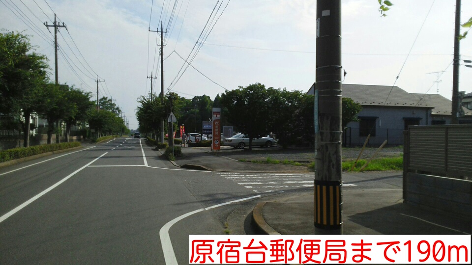 19/19 周辺