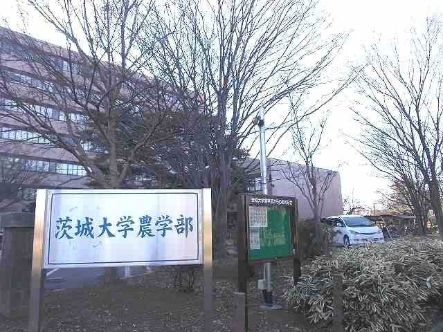 6/8 周辺