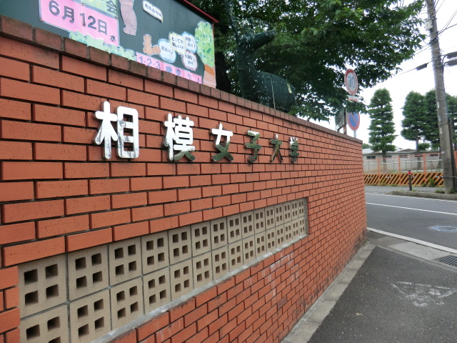 4/9 周辺