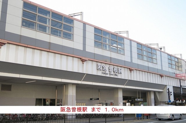 3/8 周辺