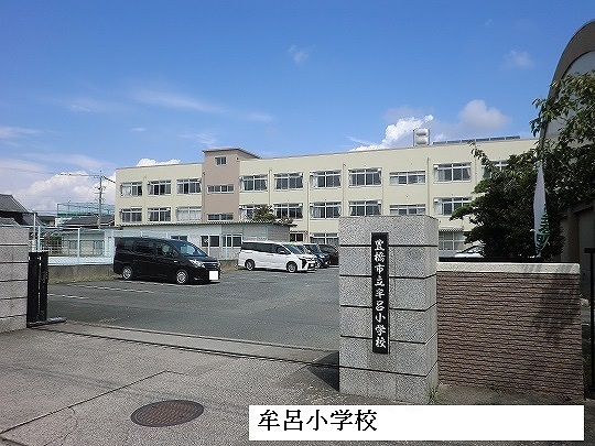 20/20 周辺