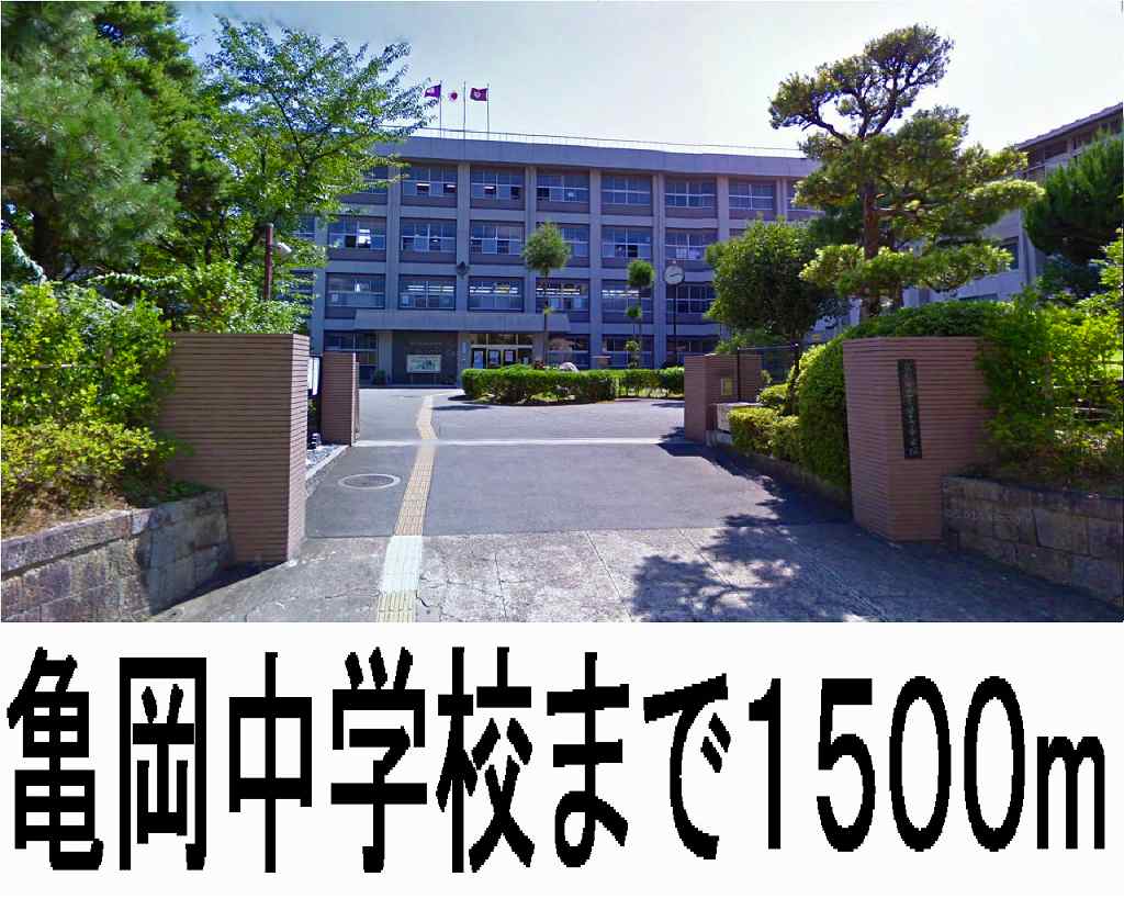 7/8 周辺