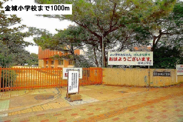 5/8 周辺