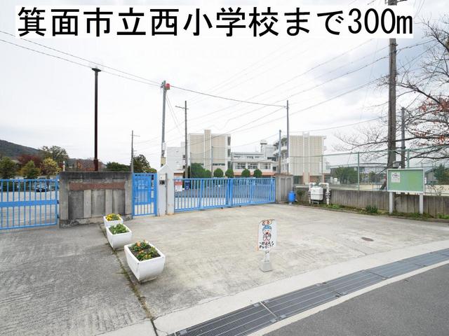 20/20 周辺