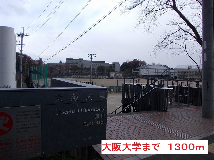 4/8 周辺