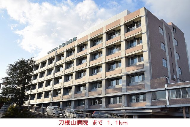 20/20 周辺