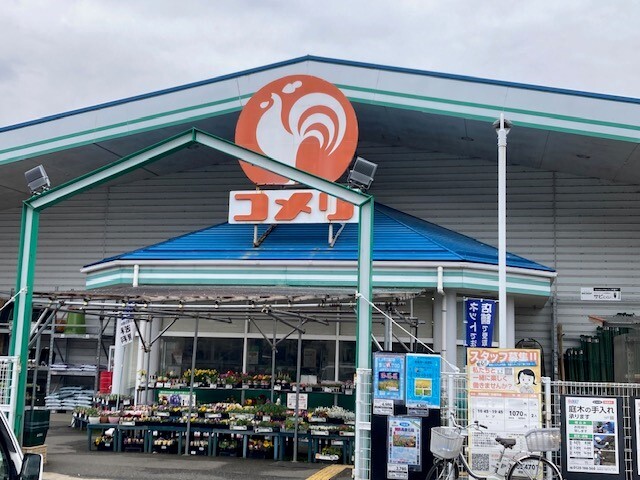 7/9 周辺