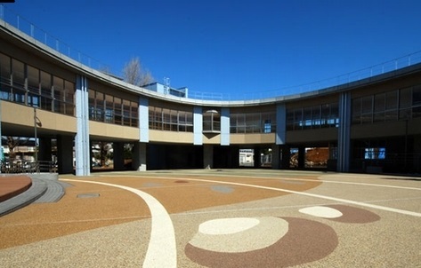 3/7 周辺