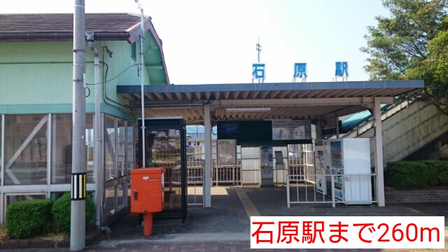 3/7 周辺