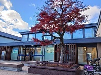 17/20 周辺